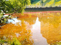 Загрязнение в Химкинском водохранилище в тысячу раз превысило норму из-за нефтеразлива
