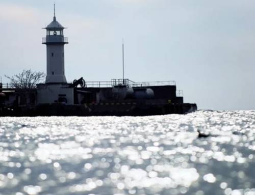 Роспотребнадзор проверяет морскую воду в Крыму на коронавирус
