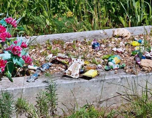 Под Костромой дети поели конфеты с могил и повредили 19 памятников