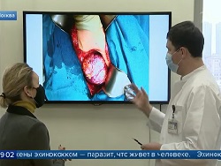 В Москве растет число случаев заболевания эхинококком
