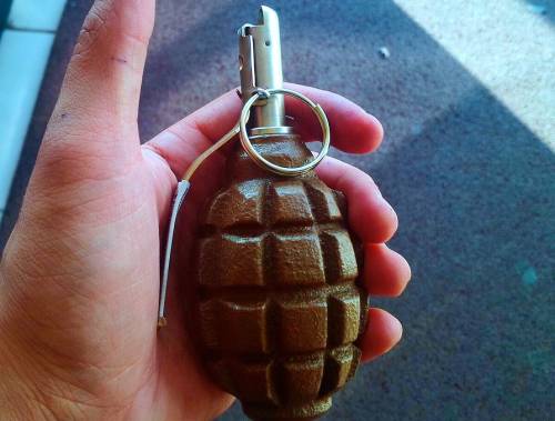 Охранник принес муляж гранаты на территорию школы в Москве ради премии