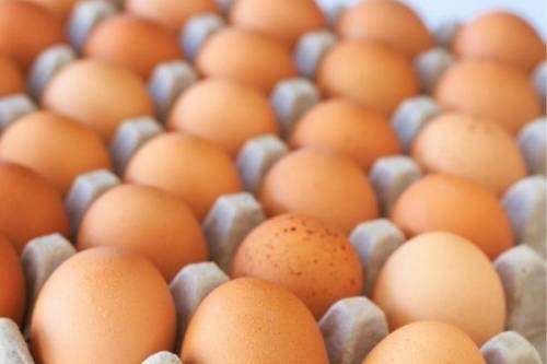Производители сообщили правительству о грядущем дефиците яиц