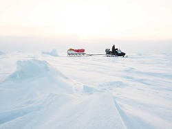 Гектар в Арктике выдадут быстрее, чем на Дальнем Востоке