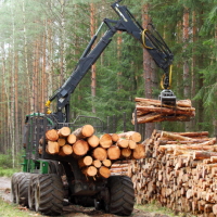 Может появиться ответственность за передачу лесозаготовительного оборудования злоумышленникам
